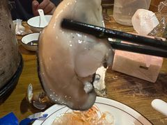 -土蚝·高压锅生蚝(百姓美食街店)