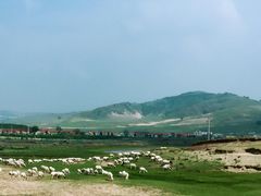 -塞罕坝国家级自然保护区