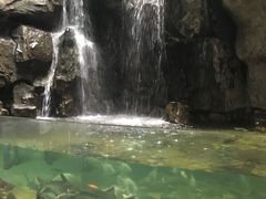 -台州海洋世界