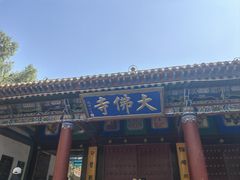 -张掖大佛寺景区