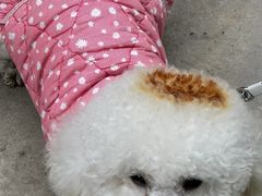 -美联众合动物医院·24h转诊中心