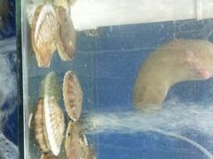 -雅逸居海鲜小厨