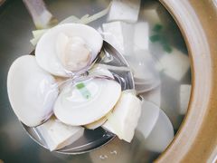 文蛤豆腐汤-鑫鸿达·海鲜闽菜热炒小馆(中山路店)