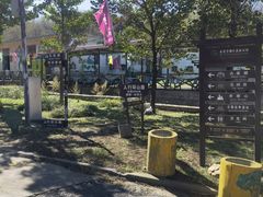-金龙寺国家森林公园