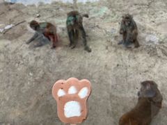 -北京鹿世界主题园