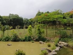 -云溪植物园