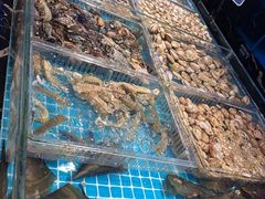 -山海•蒸汽活海鲜自助(皇庭广场店)
