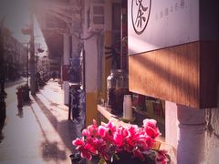 -茶是一枝花泡茶店