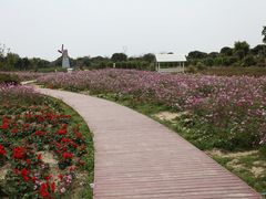 -广东花都香草世界旅游度假区