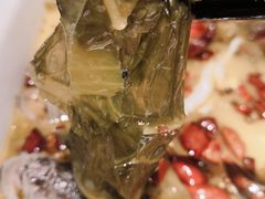 -江湖情酸菜鱼(万菱汇店)