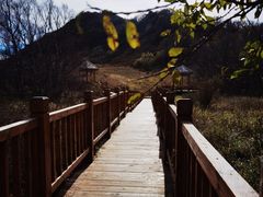 -白草畔自然风景区