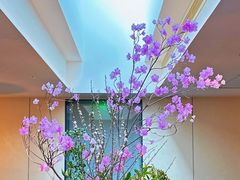 -晟永興烤鸭店(五道口店)