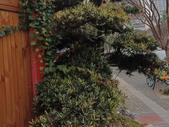 -田园印象·成都土菜院子(华阳店)