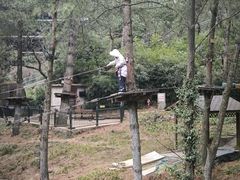 -梦幻奥陶纪景区