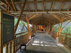 -海口观澜湖火山温泉谷