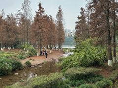 -重庆彩云湖湿地公园
