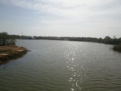 -上海都市菜园