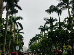-万绿园