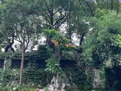 -惠山古镇·寄畅园