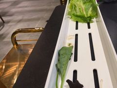 -南门四季铜锅涮肉(大屯·北苑店)