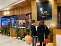 -大树餐厅(益田假日店)