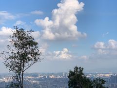 -阳台山森林公园