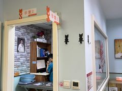 -纳吉亚猫专科动物医院博雅分院