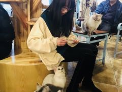 -共舞时光猫咖·狗咖(新街口店)
