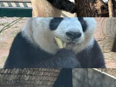 -二一九公园