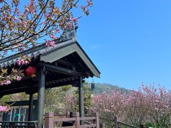 -游子山休闲旅游区