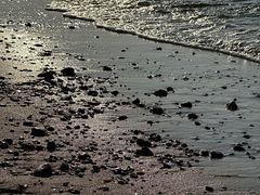 -那香海钻石沙滩浴场