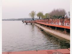 -丁香湖公园