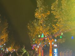 -青岛方特梦幻王国