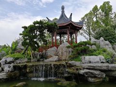 -东莞植物园