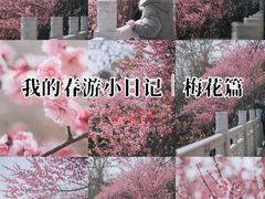 -龟山风景区-龟山电视塔