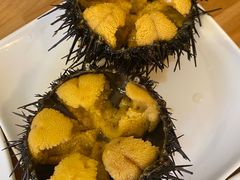 活海胆-海胆小馆(春柳店)