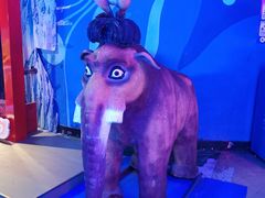 -烟台海昌鲸鲨海洋公园