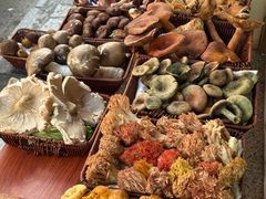 -草墩罗非鱼庄•野生菌•腊排骨(七星街上段店)