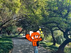 -江心屿景区