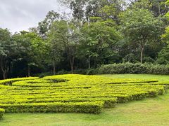 -广州市白云山风景名胜区