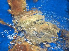 -盒马鲜生(顺义店)