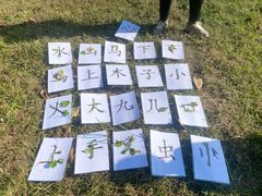 -世纪飞马幼儿园(西城校区)