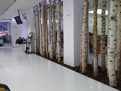 -极简口腔(总院)