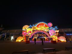 -大连老虎滩海洋公园