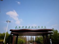 -黄海国家森林公园