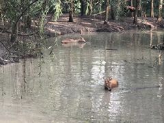 -溱湖国家湿地公园