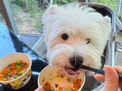 -西安浐灞艾美酒店·汉江餐厅·火锅