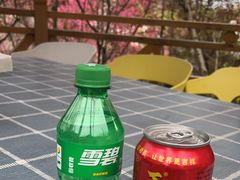 -玫瑰庄园·自助烧烤·烤全羊·团建拓展(龙泉山店)