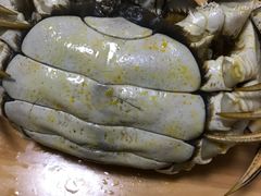 -小陆莲花蟹园农家乐(莲花岛店)