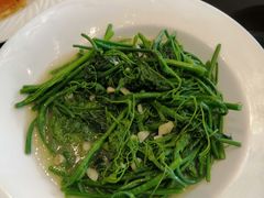 -大连富丽华大酒店